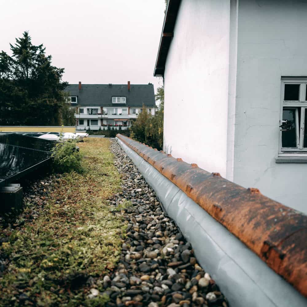 Gründach in Hamburg mit Photovoltaikanlage und gepflegtem Kiesrandbereich nach der Reinigung durch Peters+Burkhardt Hausservice GmbH.